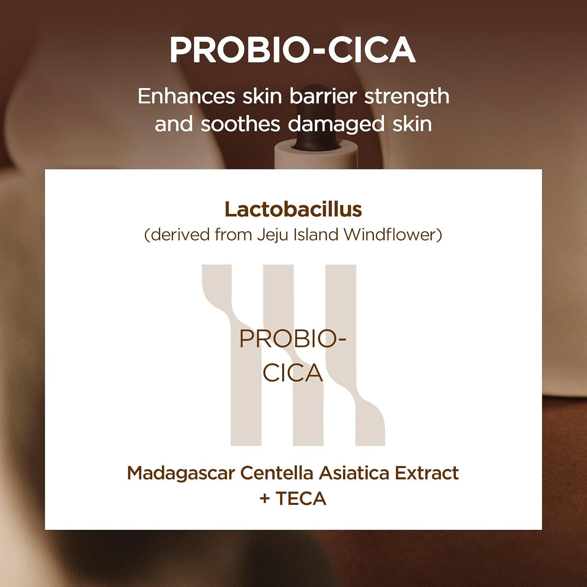 SKIN1004 Madagascar Centella Probio-Cica Intensive Ampoule