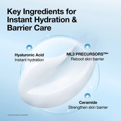 Anua Barrier Reboot Water Gel Cream